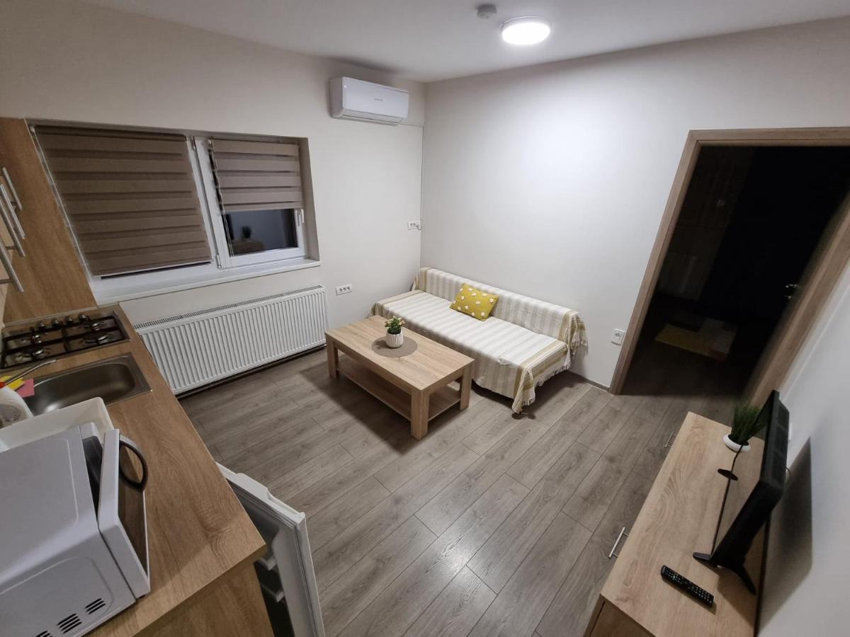 טימישוארה City Premium Apartments מראה חיצוני תמונה