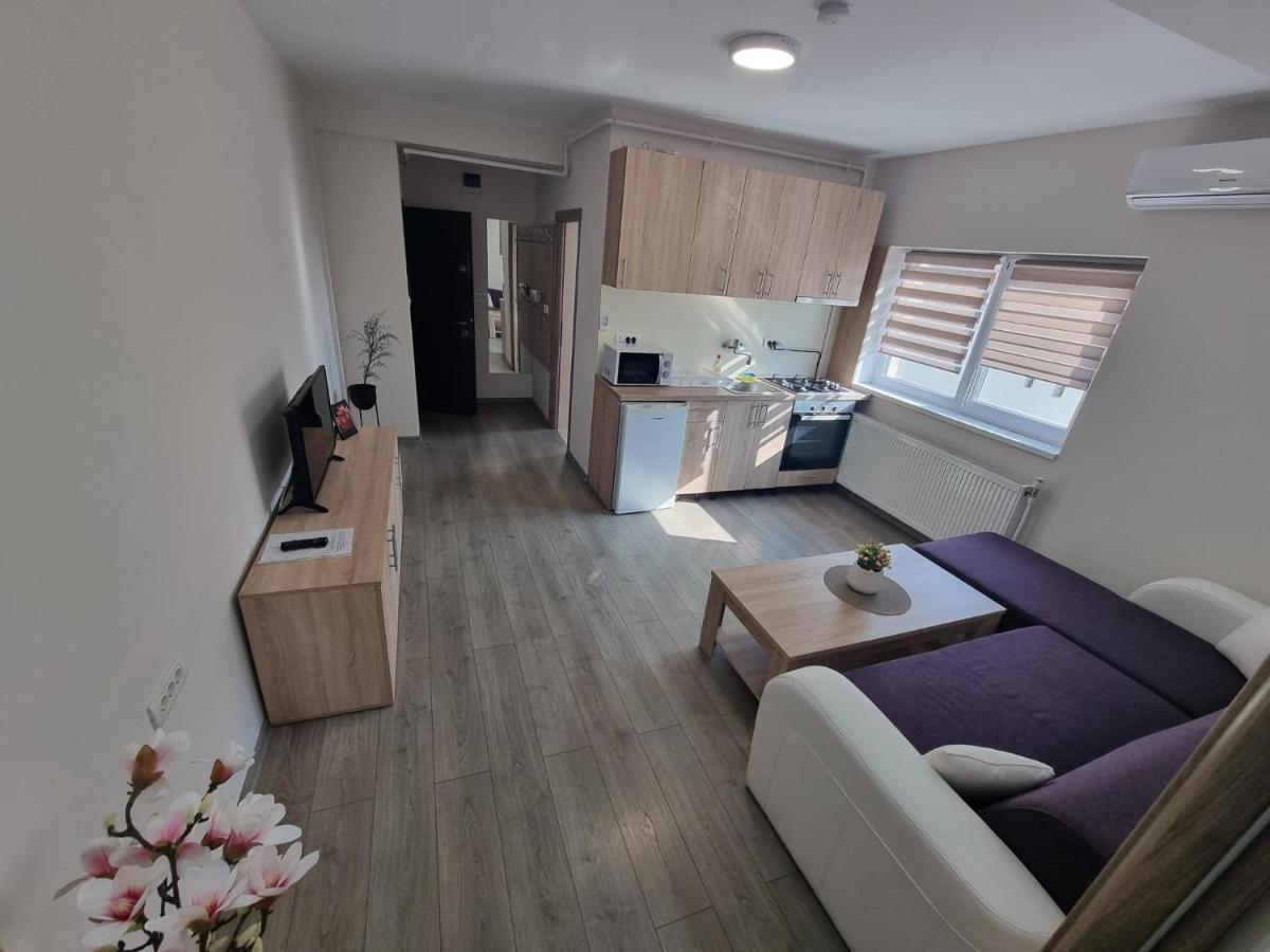 טימישוארה City Premium Apartments מראה חיצוני תמונה