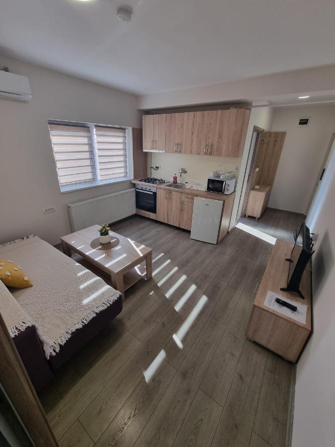טימישוארה City Premium Apartments מראה חיצוני תמונה