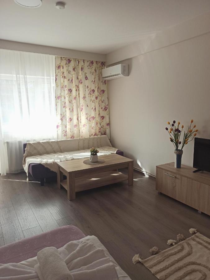 טימישוארה City Premium Apartments מראה חיצוני תמונה