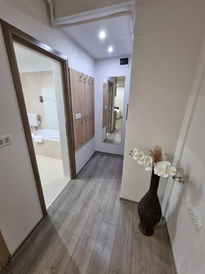טימישוארה City Premium Apartments מראה חיצוני תמונה