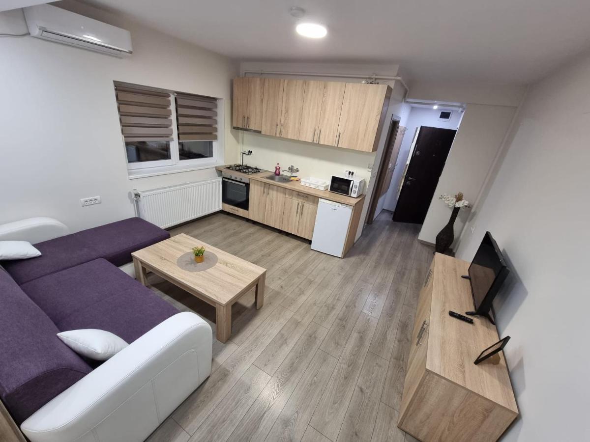 טימישוארה City Premium Apartments מראה חיצוני תמונה