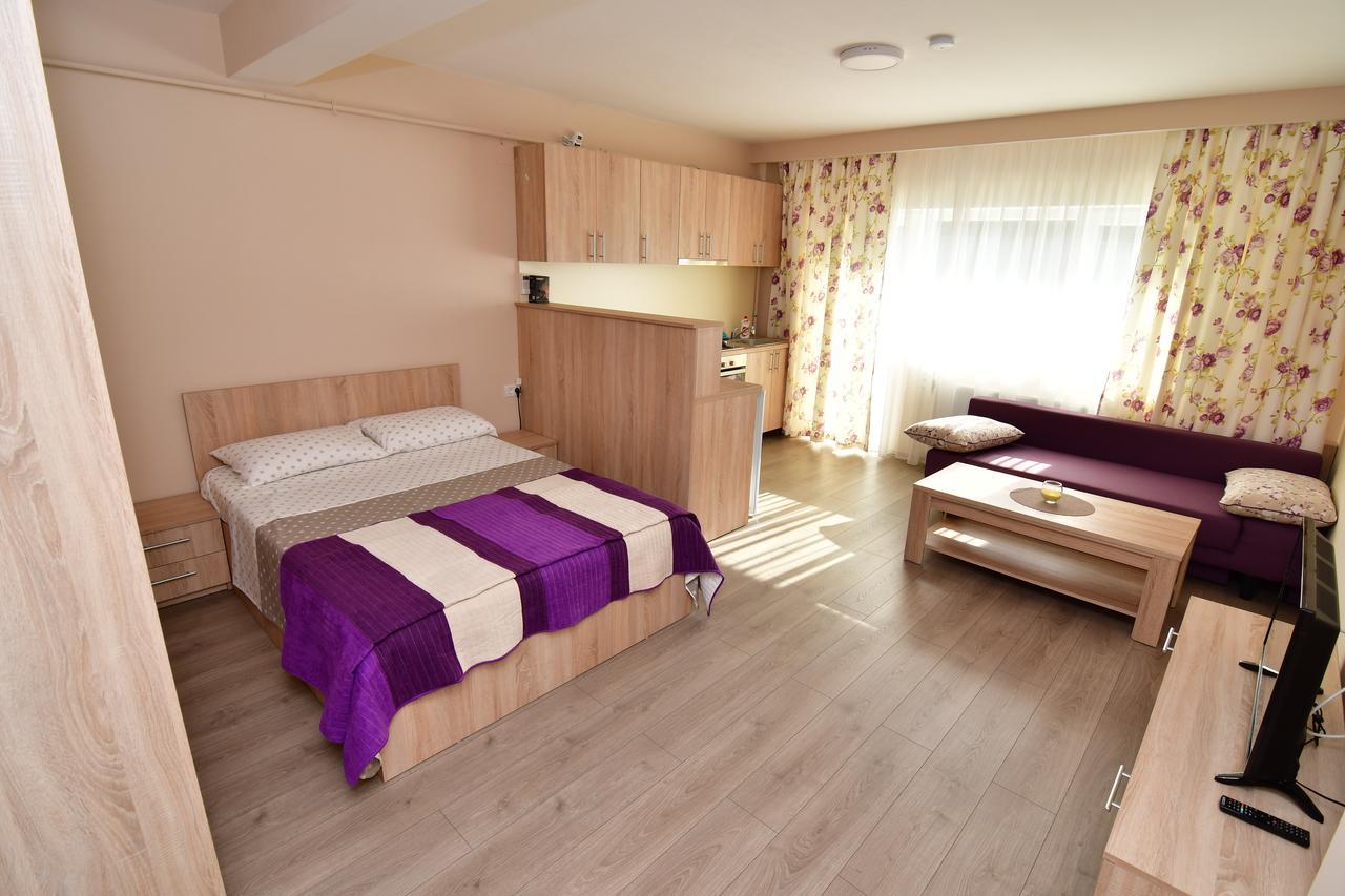 טימישוארה City Premium Apartments מראה חיצוני תמונה